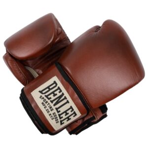 BENLEE Leder Boxhandschuhe PREMIUM TRAINING