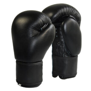 PRO FIGHT Boxhandschuhe Top-Modell schwarz Echtleder